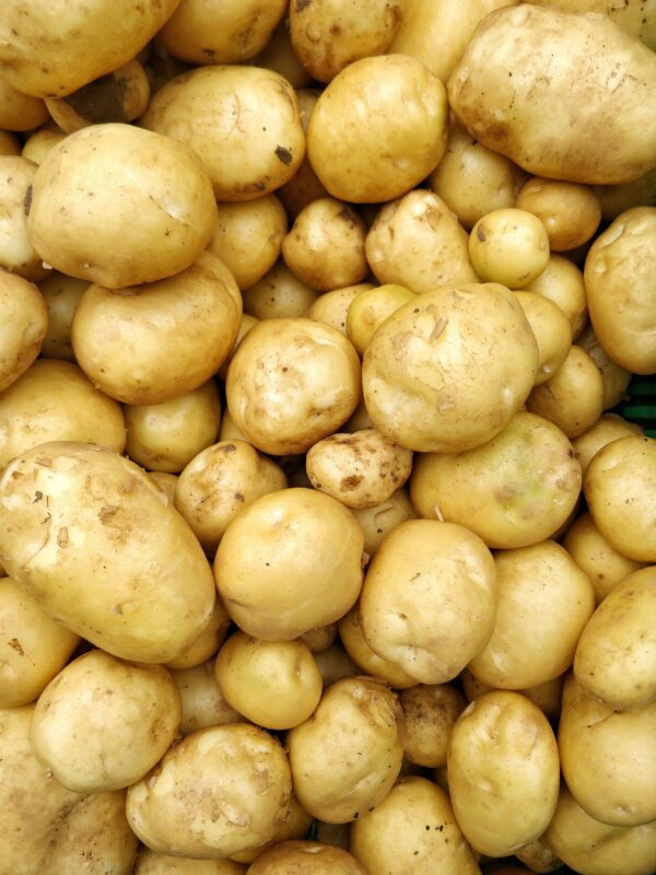 Potato (Aloo)